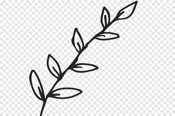 Веточка нарисованная