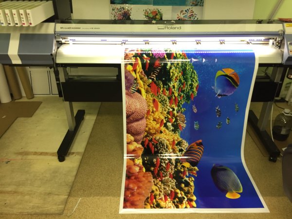 Печать на пленке самоклеящейся