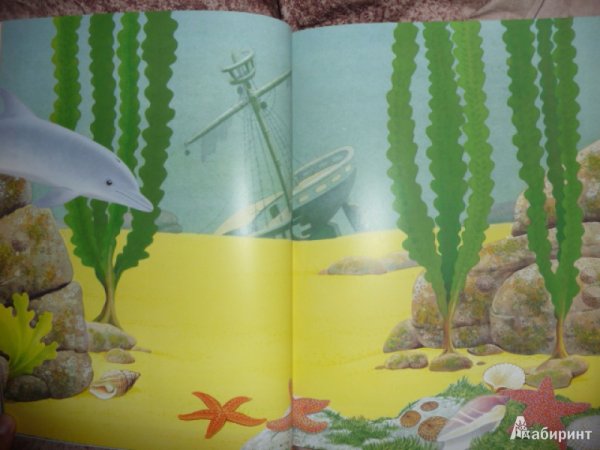 Чудо-наклейки. Мир джунглей