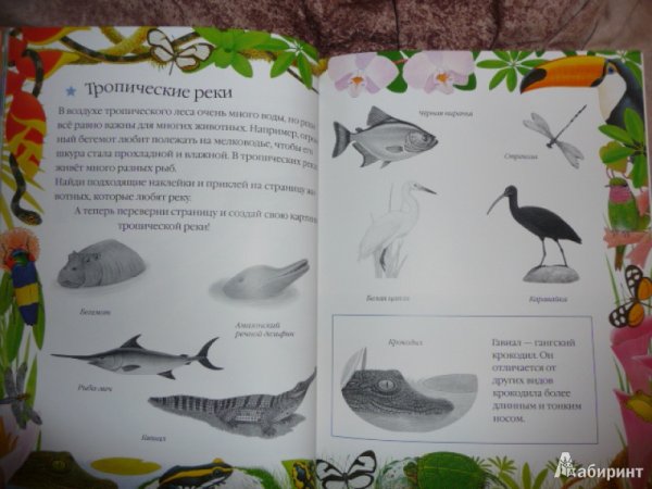 Все о животных. Чудо-наклейки