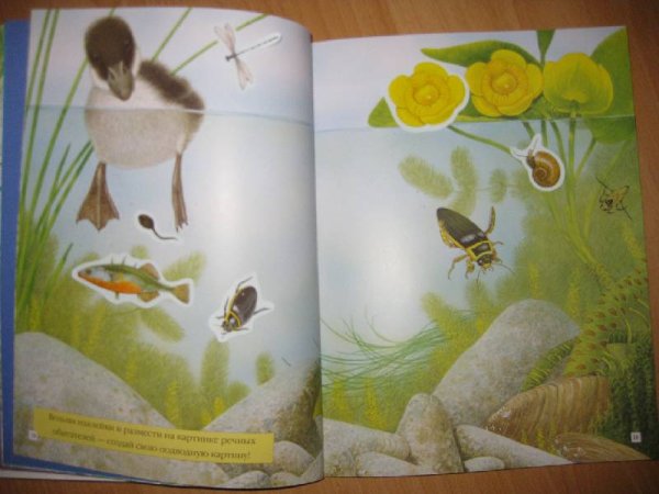 Книжка с наклейками "чудо-наклейки. Мир джунглей."