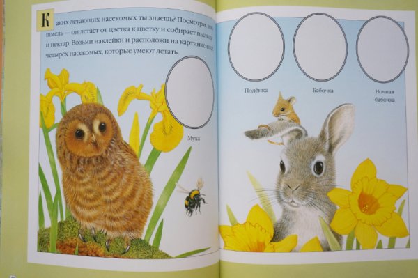 Морис Пледжер чудо наклейки мир океана