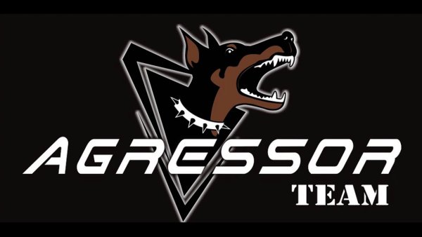 Наклейка TRD на лобовое