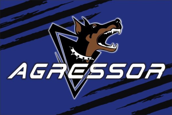 Наклейка Агрессор на авто