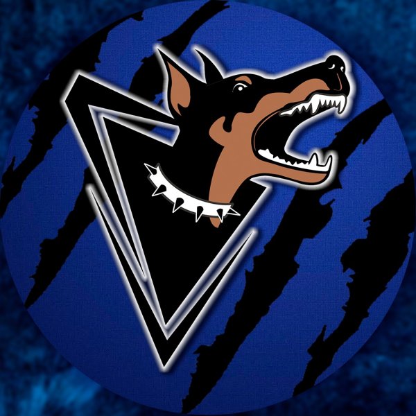 Наклейка 30 см на машине