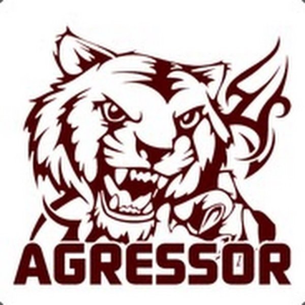 Наклейка Aggressor