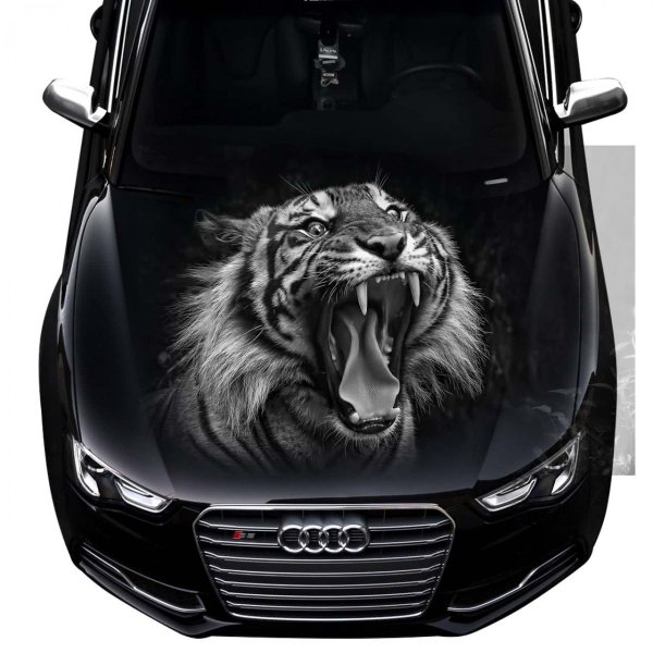 Наклейки на капот