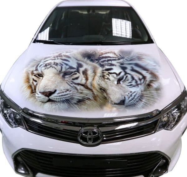 Наклейки на капот автомобиля