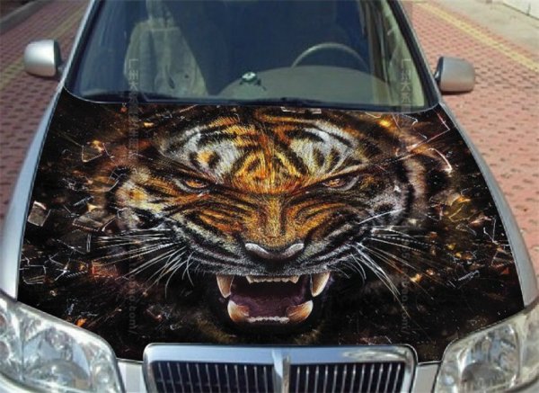 Тигр на капоте авто