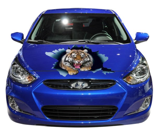 Наклейки на капот