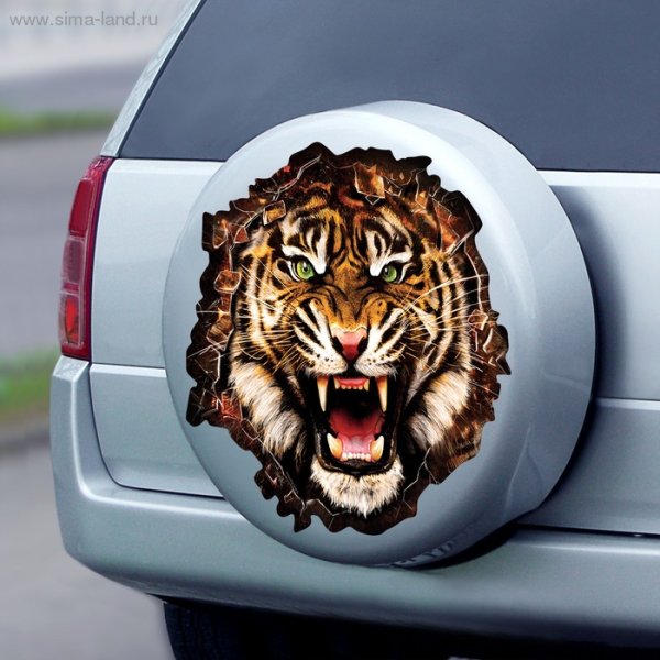 Наклейки на капот