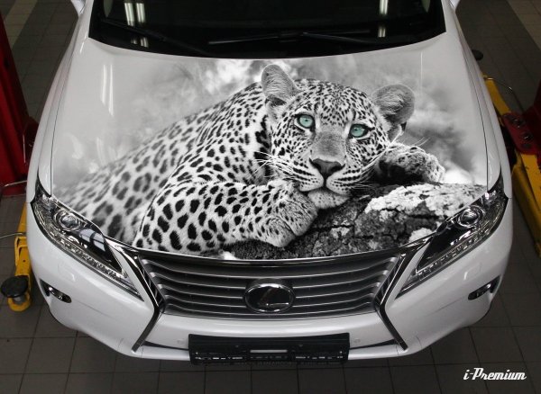 Аэрография. Авто