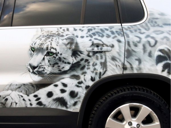 Винилография сафари стиль