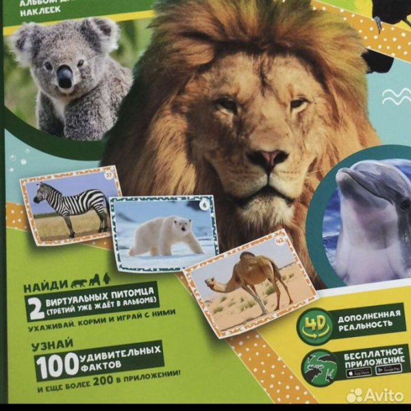 Живая Планета 4d книга