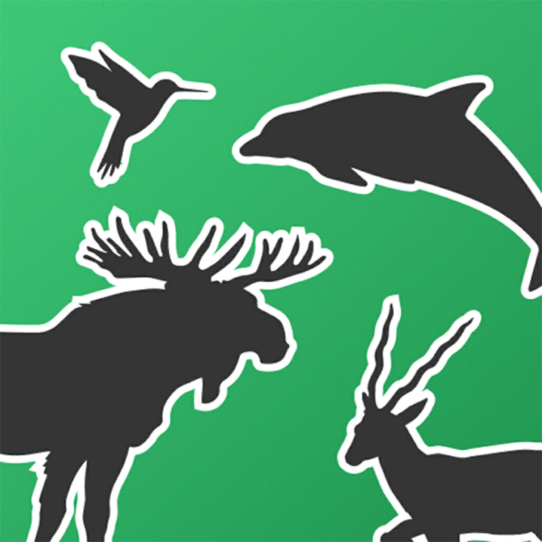 Альбом Живая Планета 4d