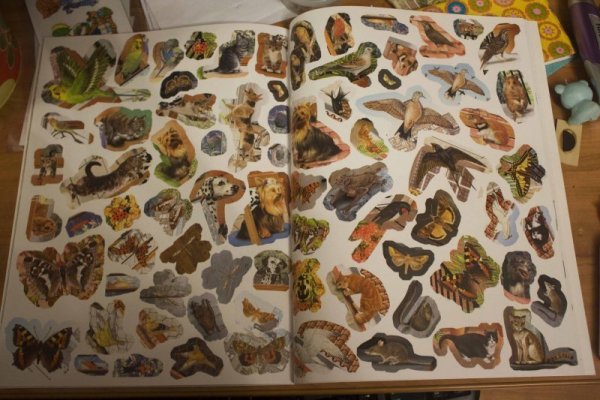 Живая Планета 4д наклейки гроздь