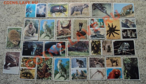 Наклейки 90е