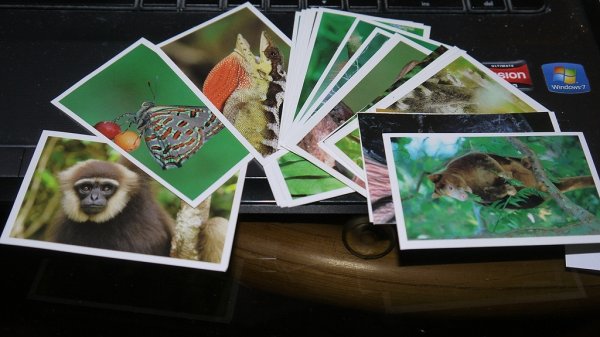 Стикермания Карусель