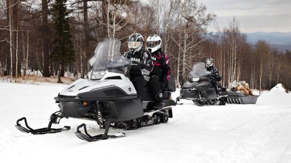 Ямаха Викинг 540