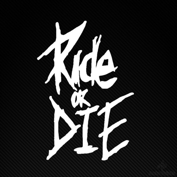 Shoot or die красивое оформление