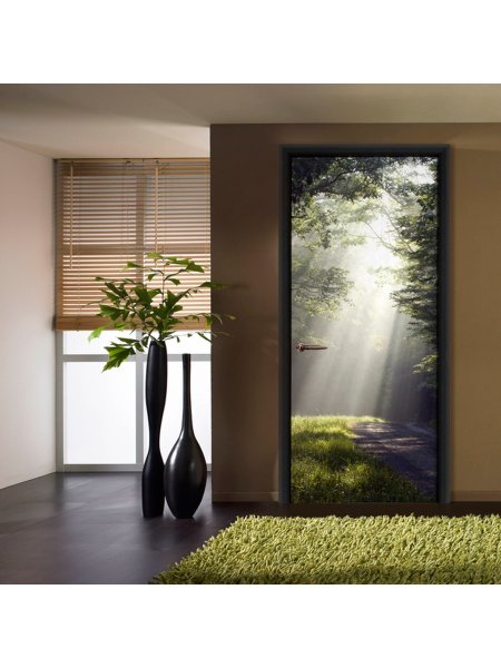 Фотообои на дверь