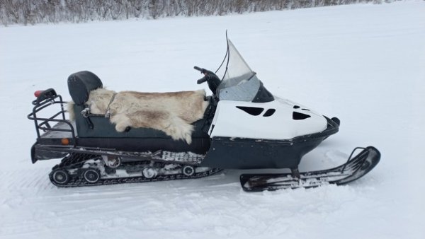 Снегоход Тайга ст500д 2005г