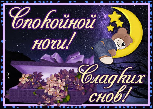 Спокойной ночи сладких снов
