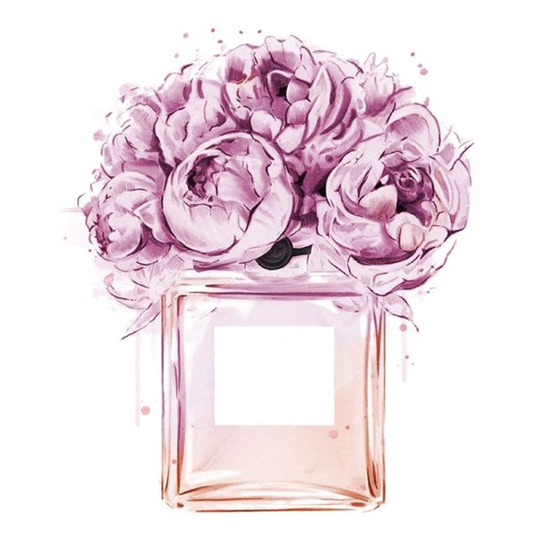 Духи Шанель рисунок