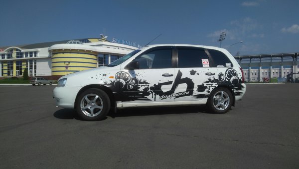 Калина кросс вид сзади