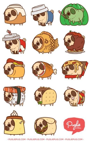 Puglie Мопс