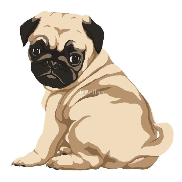 Мопсик мультяшный