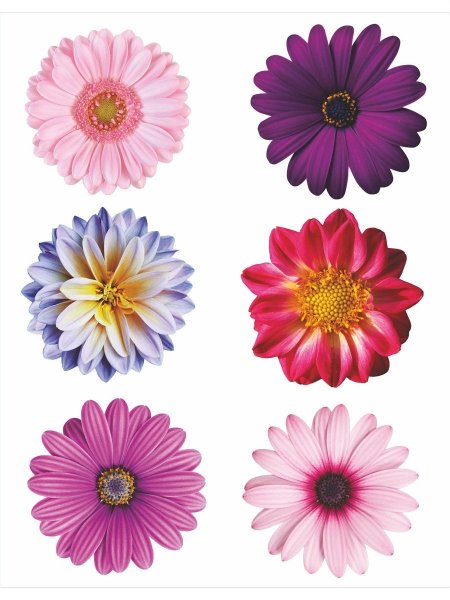 Стикер цветочек