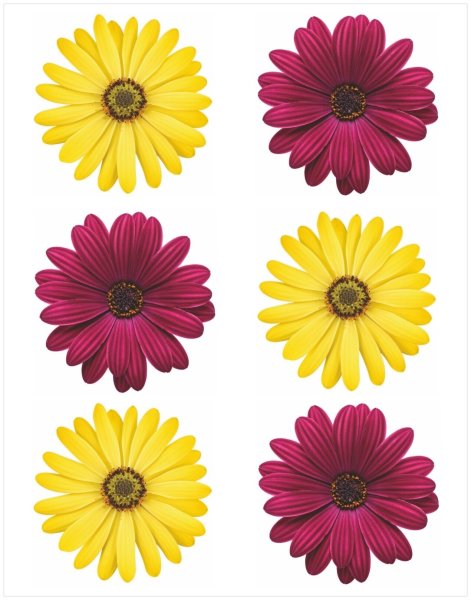 Наклейки - цветочки