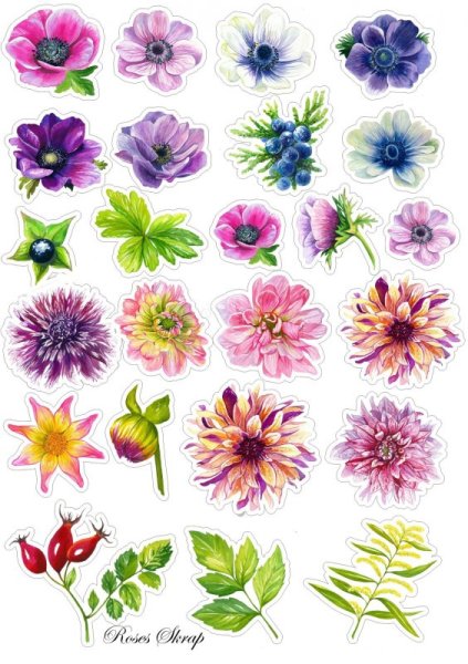 Красивые маленькие цветочки