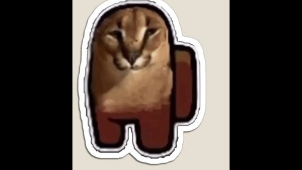 Шлёпа злится