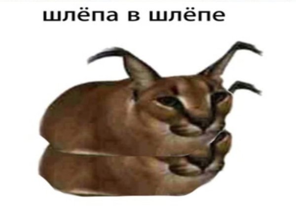Шлёпа Мем Рысь