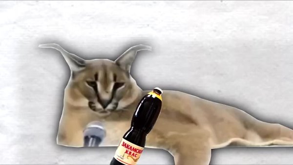 Стикеры шлепы