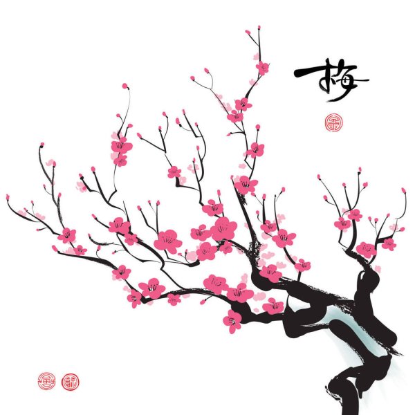 Ветка Сакуры