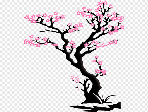 Цветки Сакуры наклейка