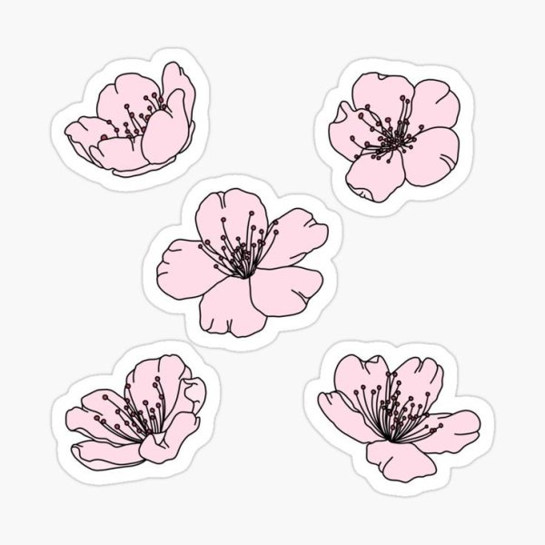 Цветок Сакуры стикер