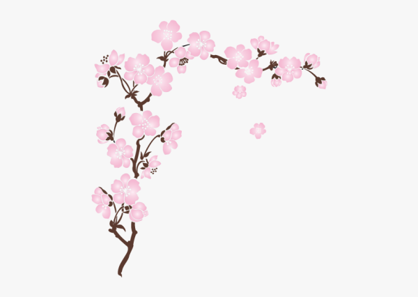 Наклейка - Сакура