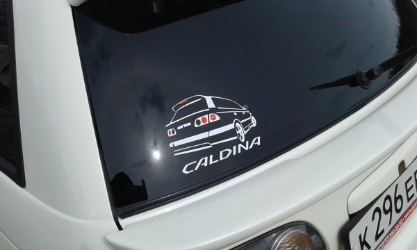 Наклейки на авто на заднее стекло