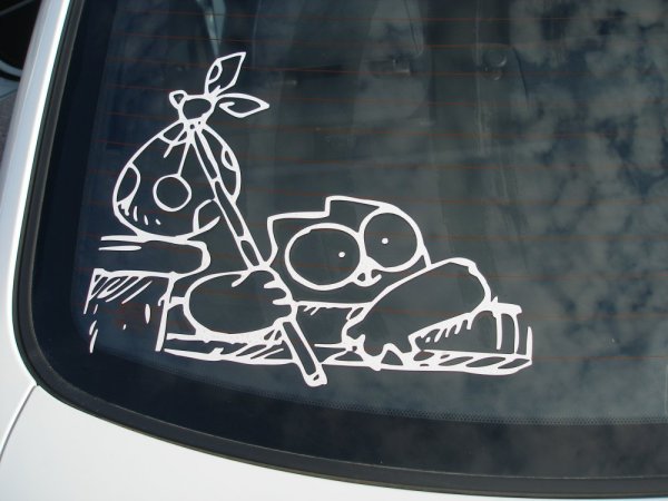 Наклейки на стекла автомобиля