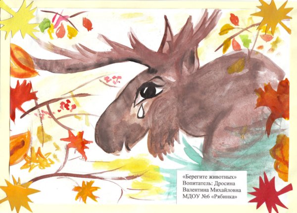 Плакат берегите животных