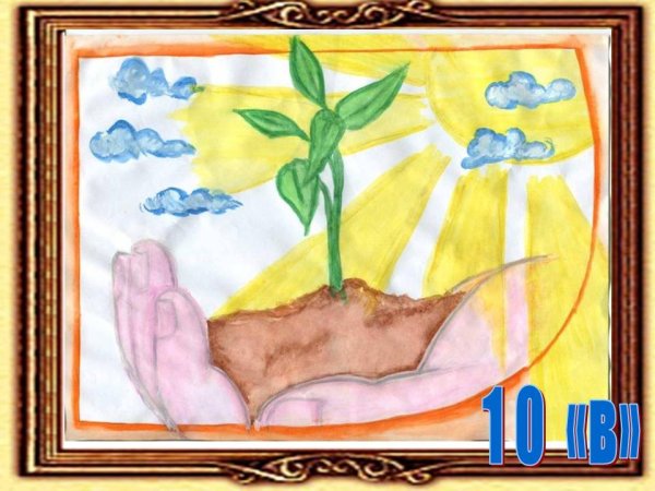 Рисунок на тему береги растения