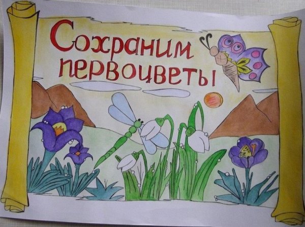 Правила поведения на природе рисунок