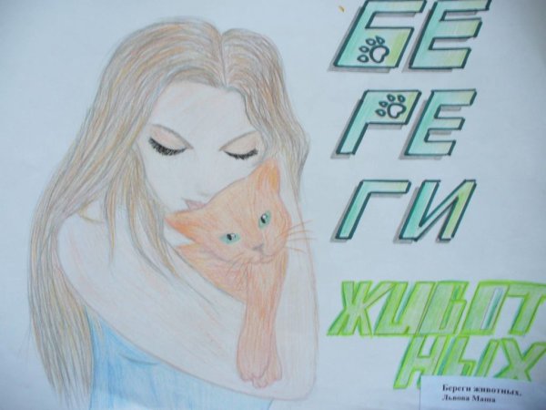 Берегите животных