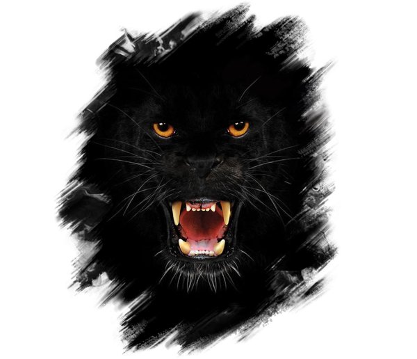 Наклейка на машину черная пантера