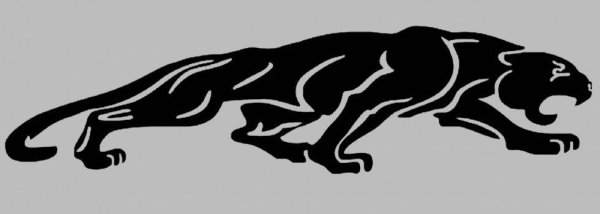 Пантера в прыжке