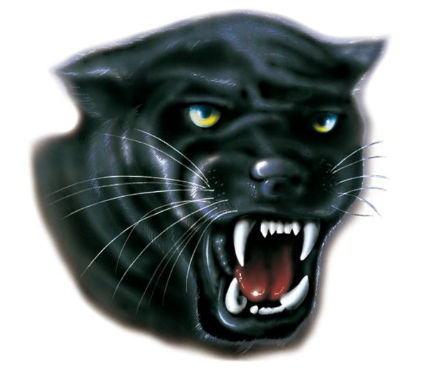 Пантера стикер